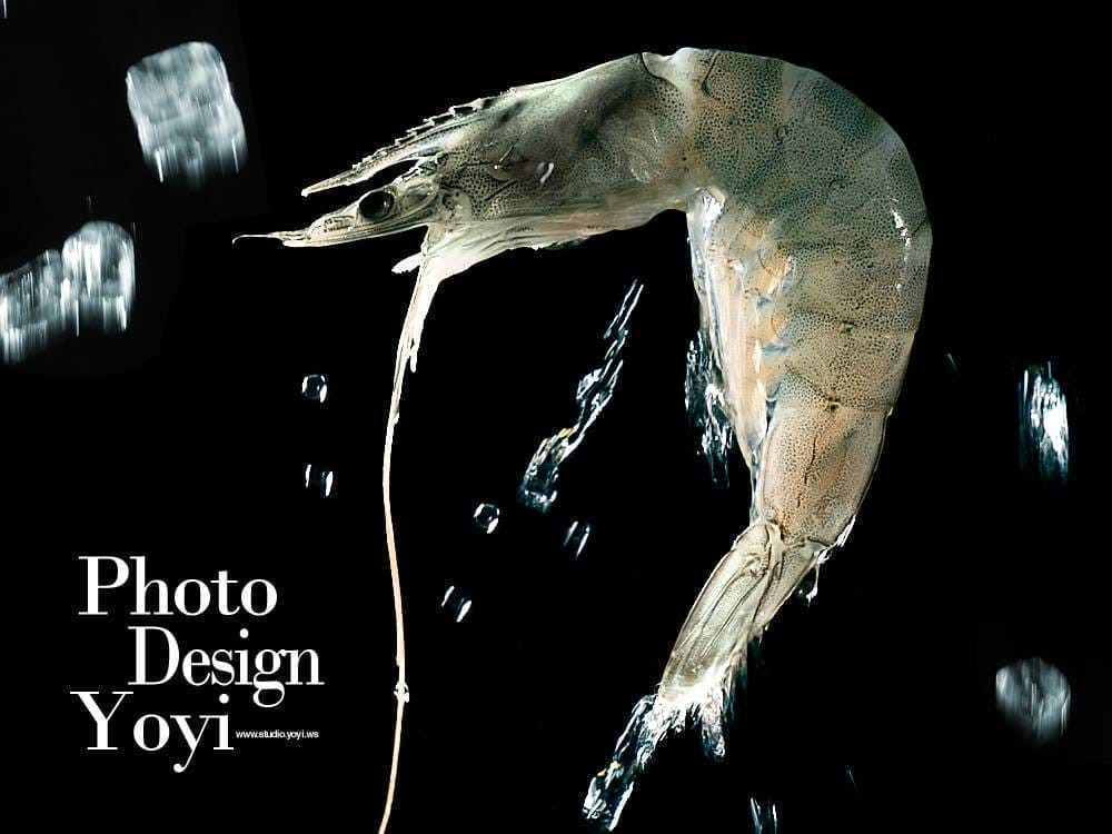 高級肉品食材攝影 | 生牛肉或排骨的微距紋理，網拍電商專用，高雄