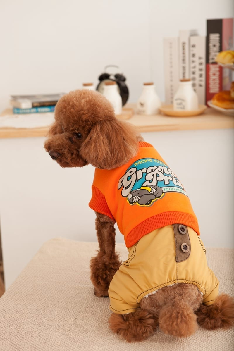 寵物床墊攝影 | 舒適狗窩與絨毛材質的細節展示，台北