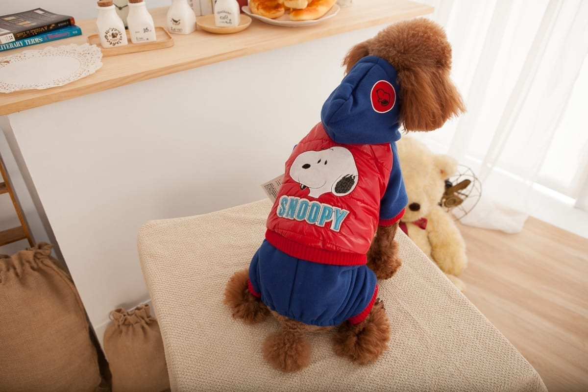 狗狗用品 | 外出水壺或寵物碗的功能性與設計感特寫