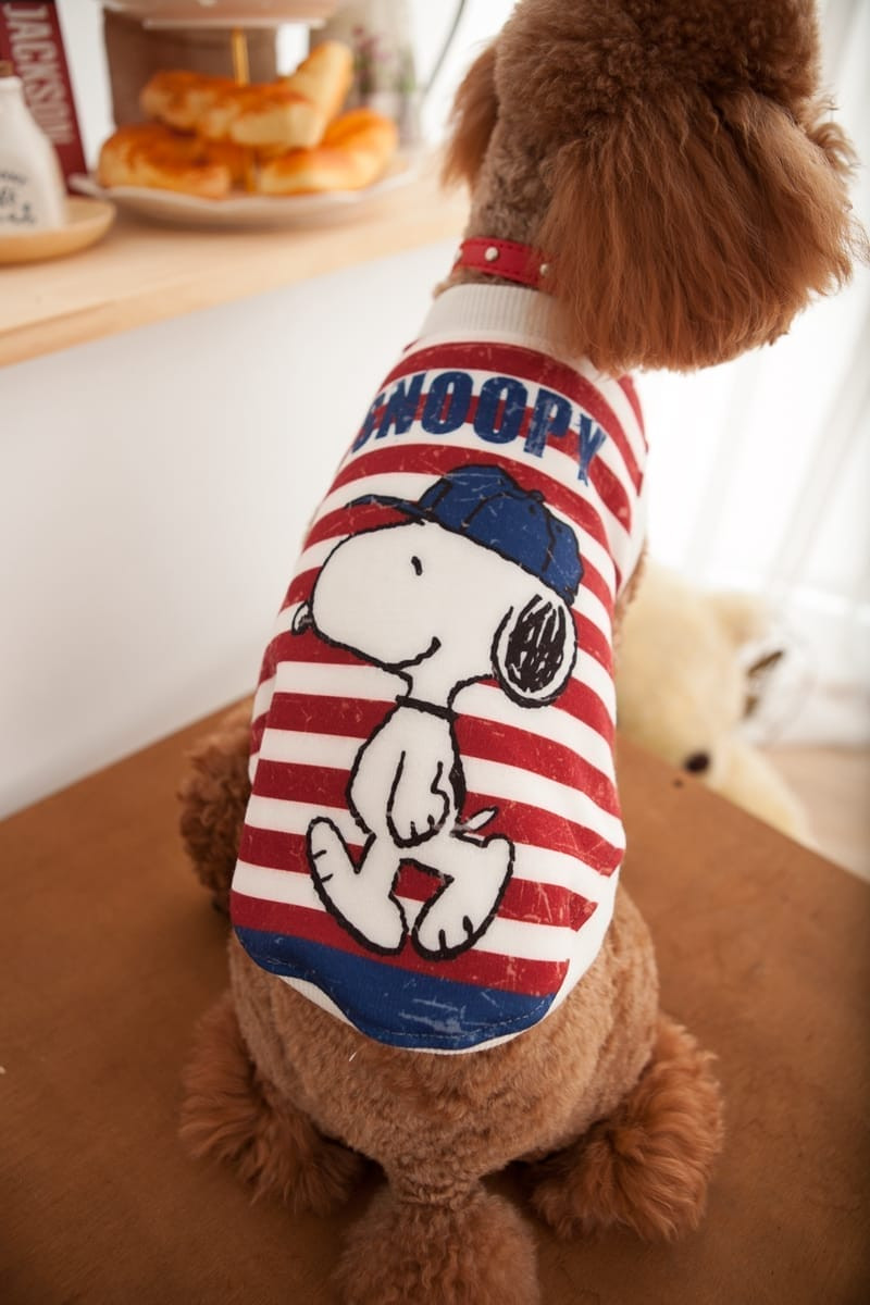 狗狗美容用品 | 梳子、指甲剪等工具的靜物棚拍，適用型錄