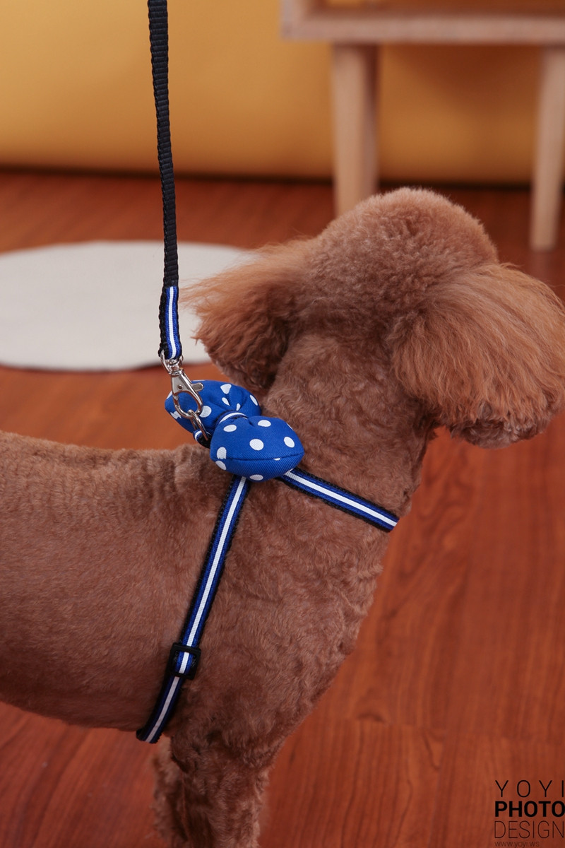 多多寵物商品攝影 93