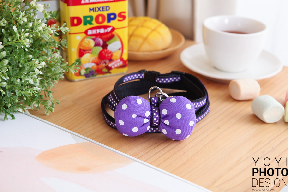 多多寵物商品攝影 103