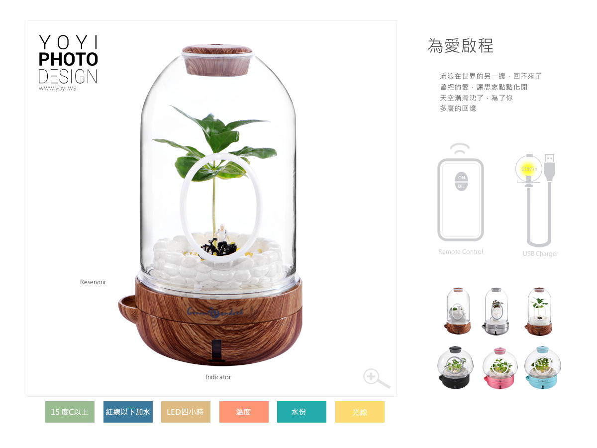 療癒盆栽攝影 1