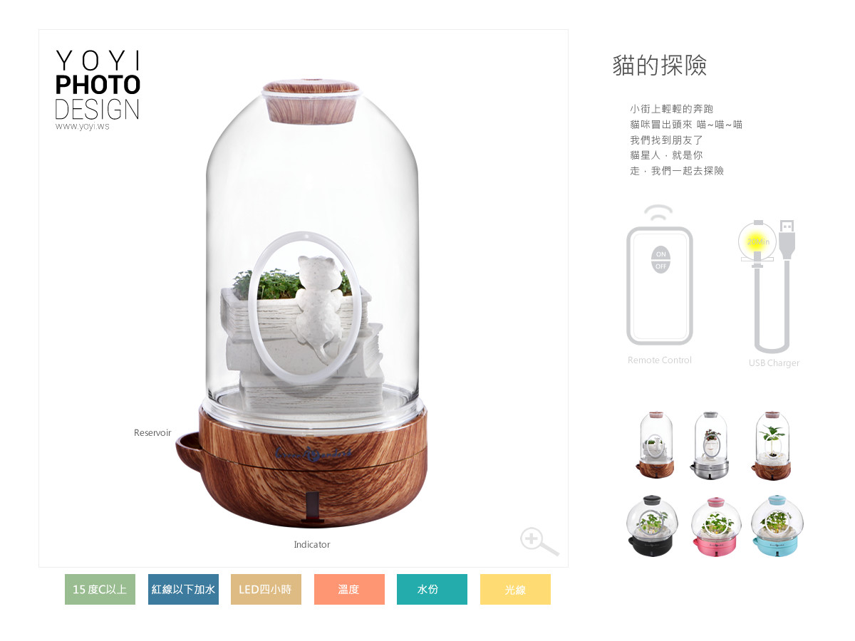 療癒盆栽攝影 5