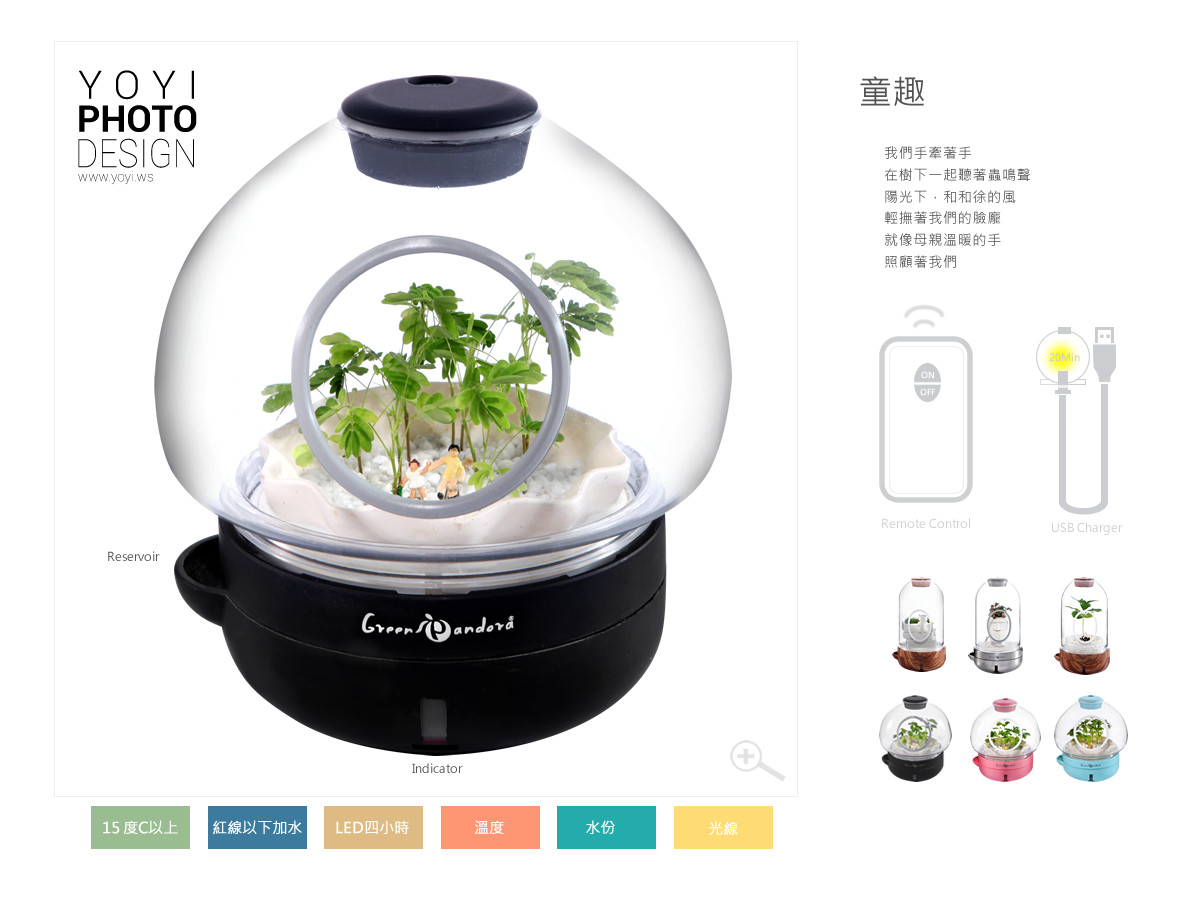 療癒盆栽攝影 7