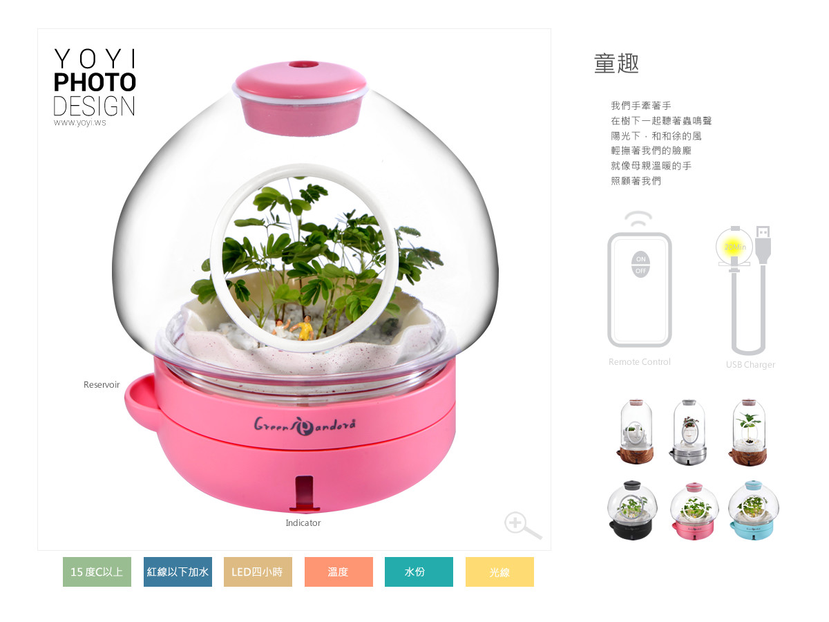 療癒盆栽攝影 9