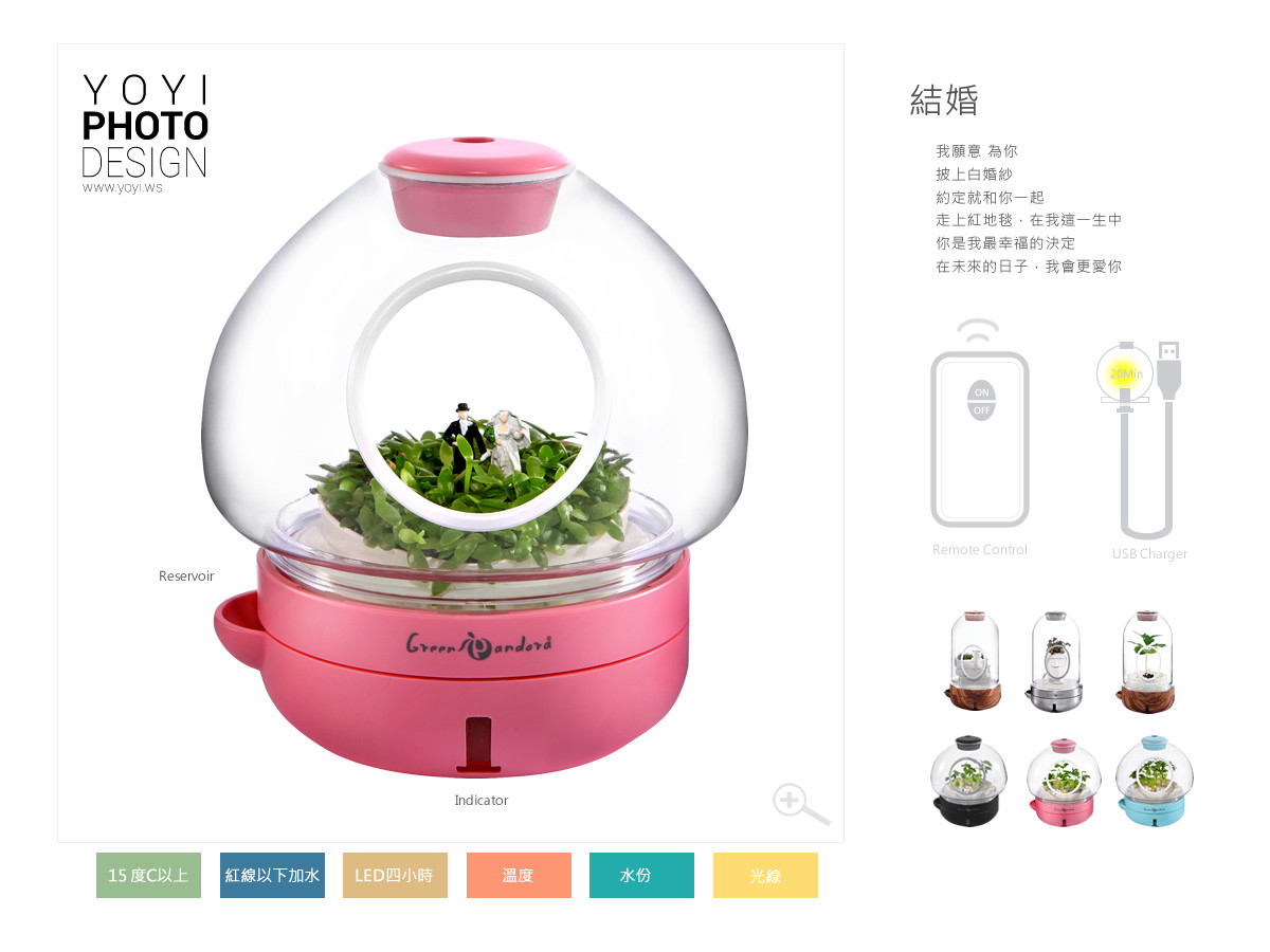 療癒盆栽攝影 13