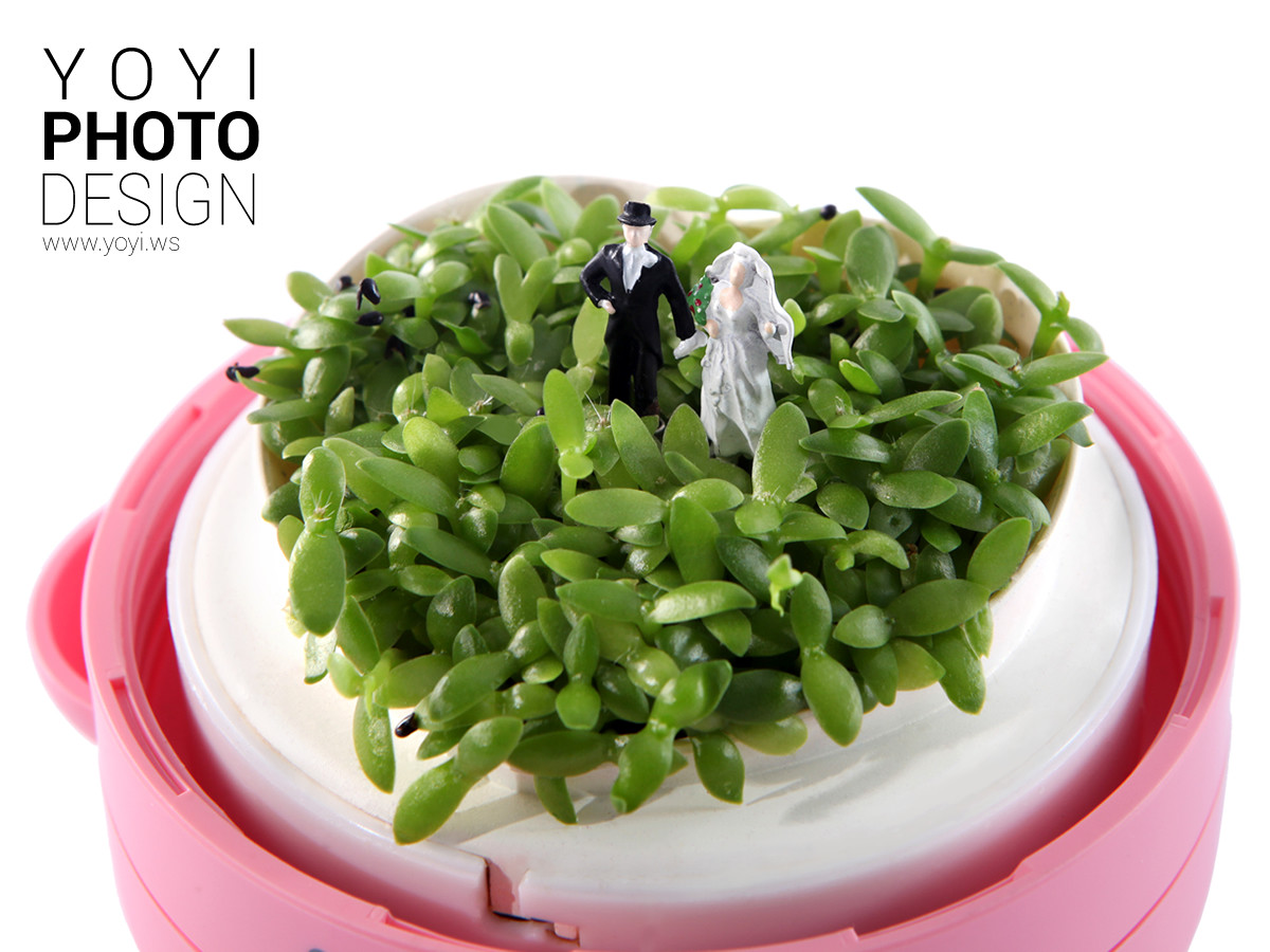 療癒盆栽攝影 17