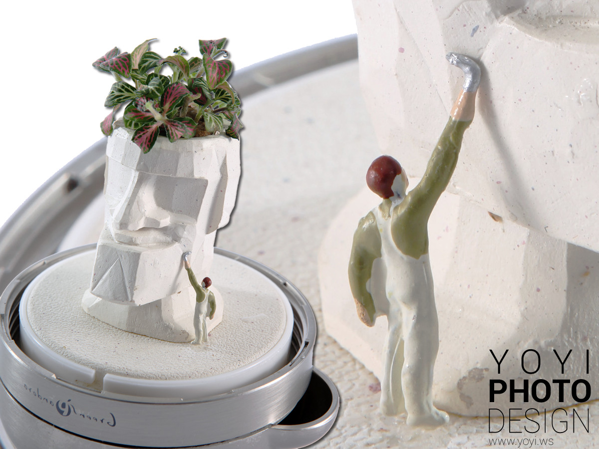 療癒盆栽攝影 19