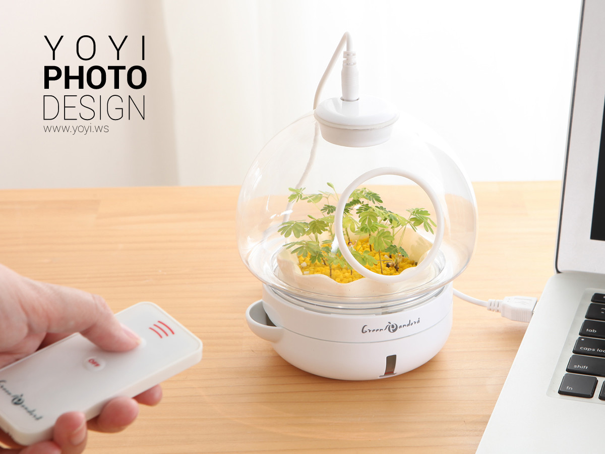 療癒盆栽攝影 21