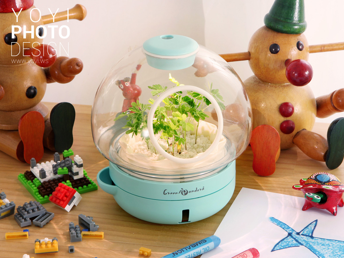 療癒盆栽攝影 23