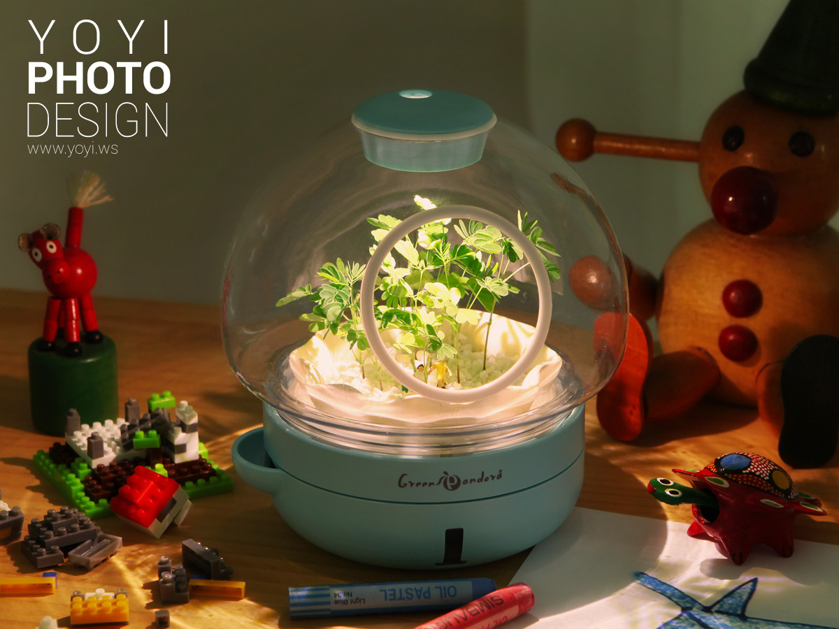 療癒盆栽攝影 25