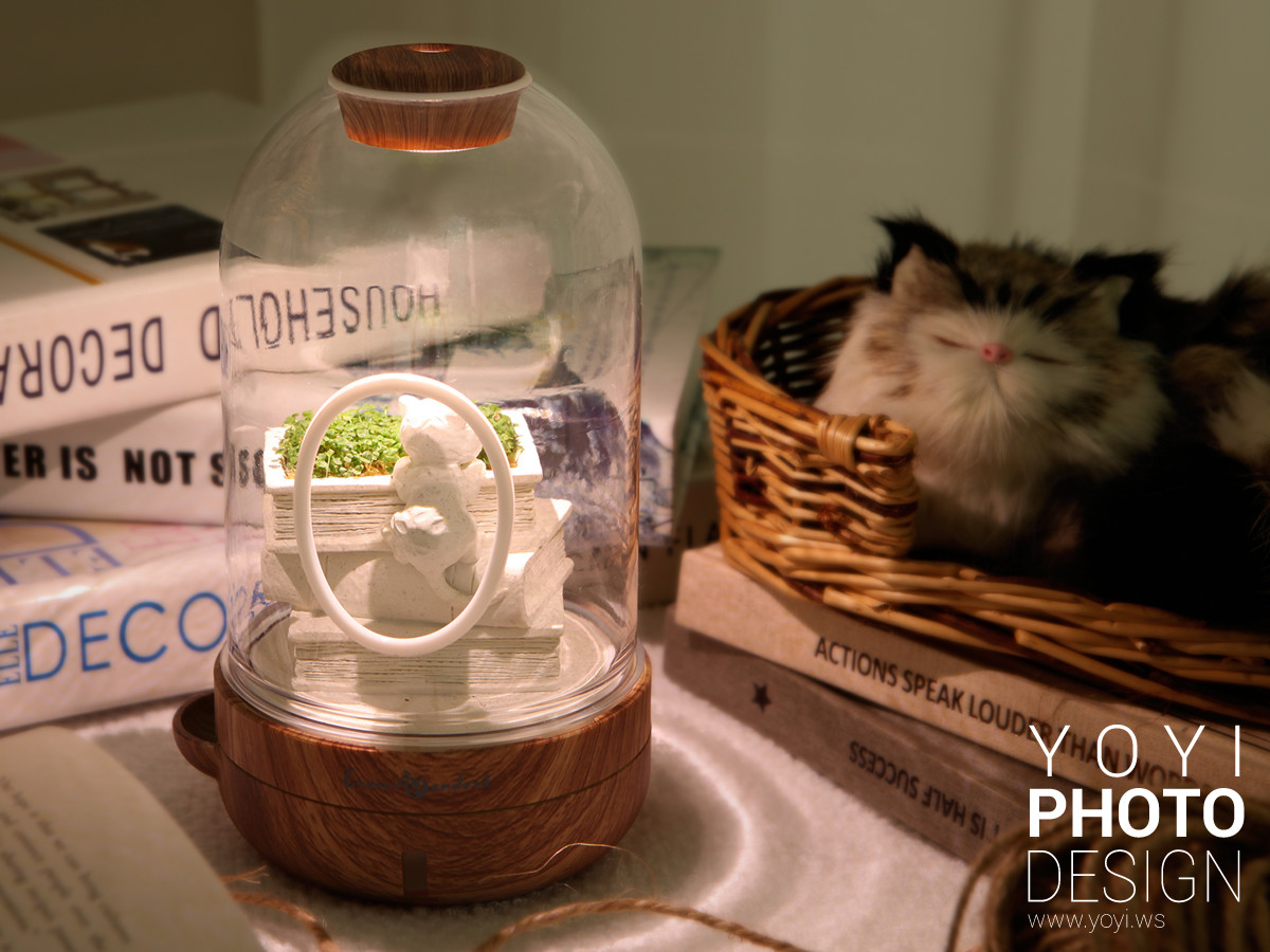 療癒盆栽攝影 27