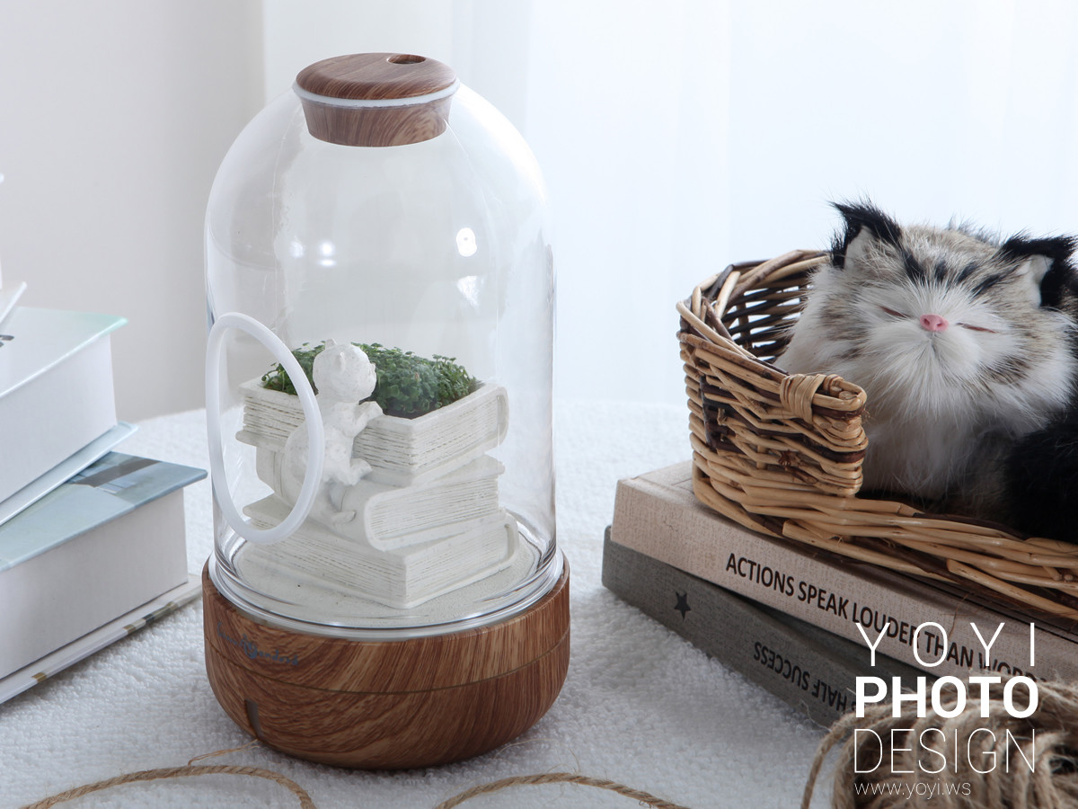 療癒盆栽攝影 29