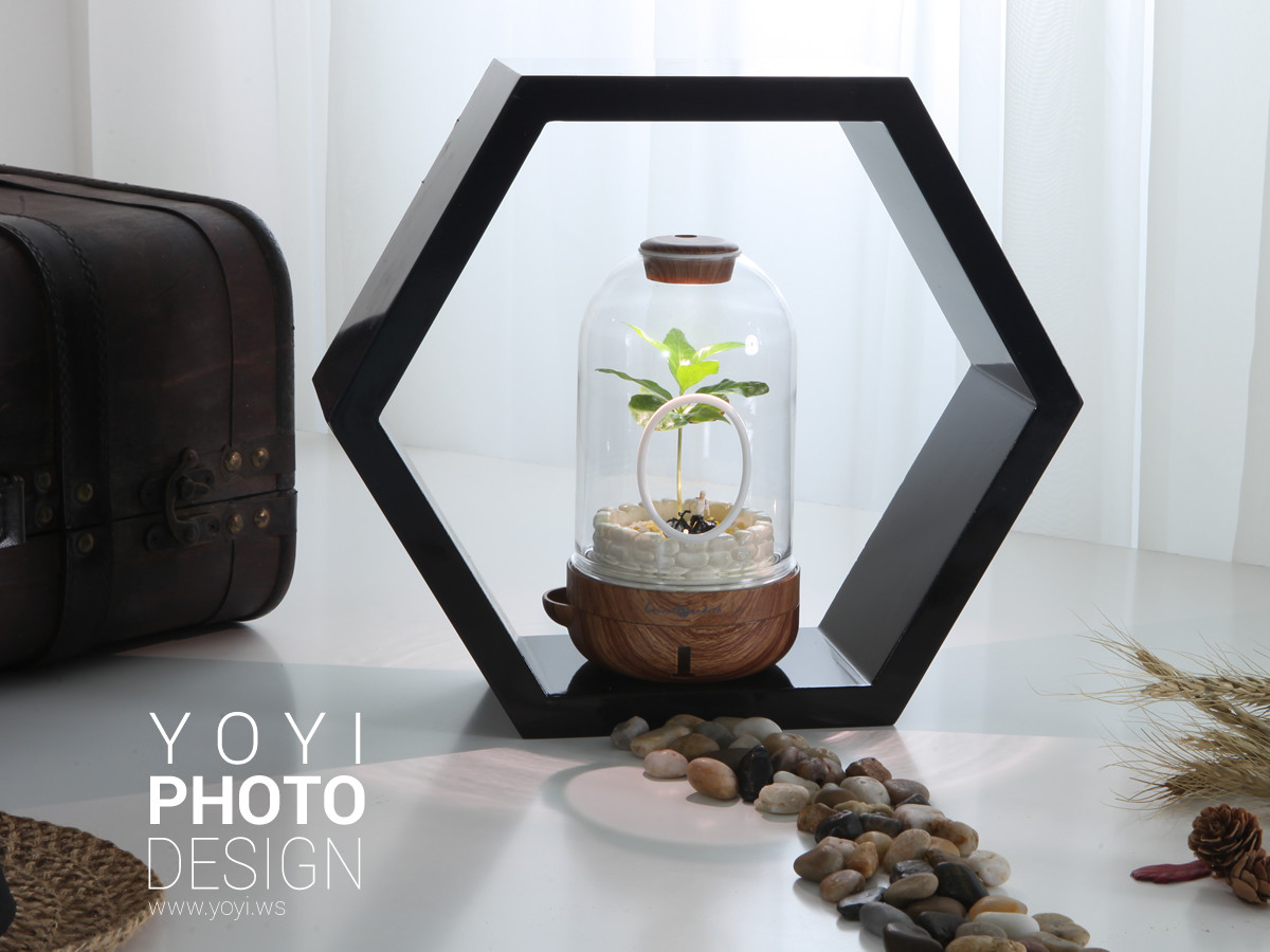 療癒盆栽攝影 31