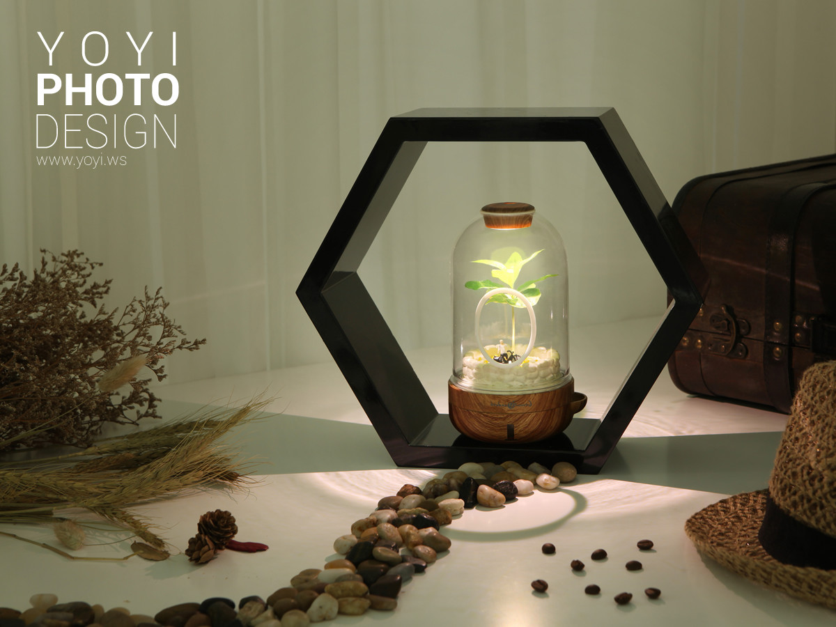 療癒盆栽攝影 33