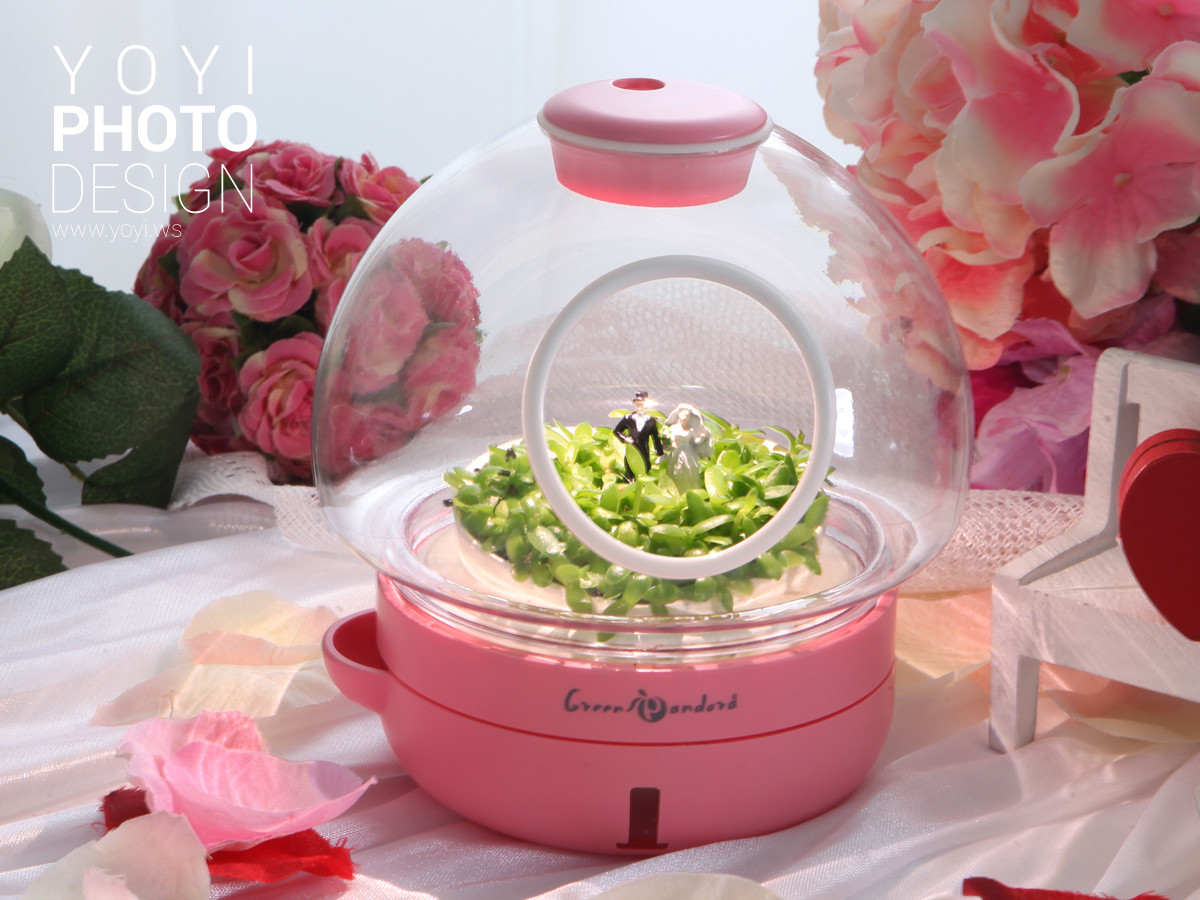 療癒盆栽攝影 35