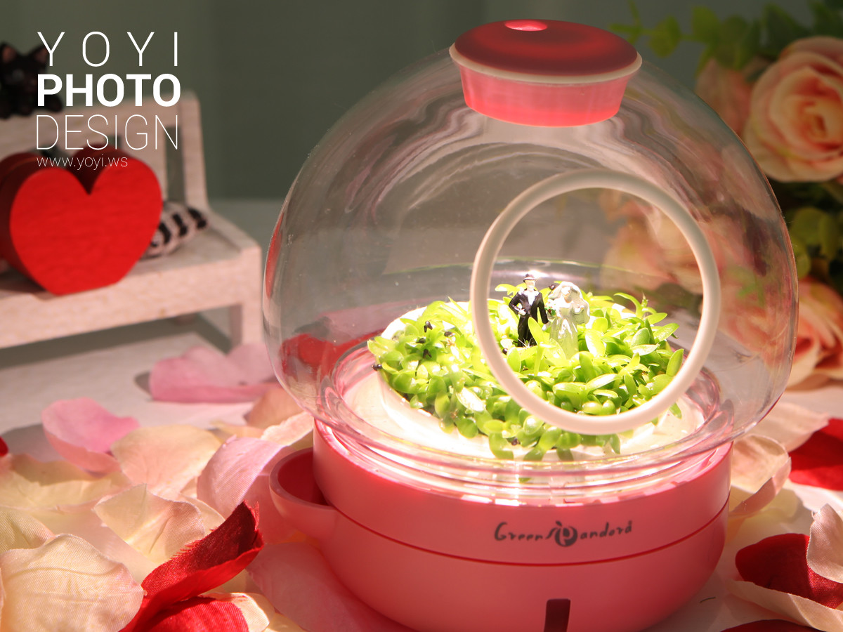 療癒盆栽攝影 37