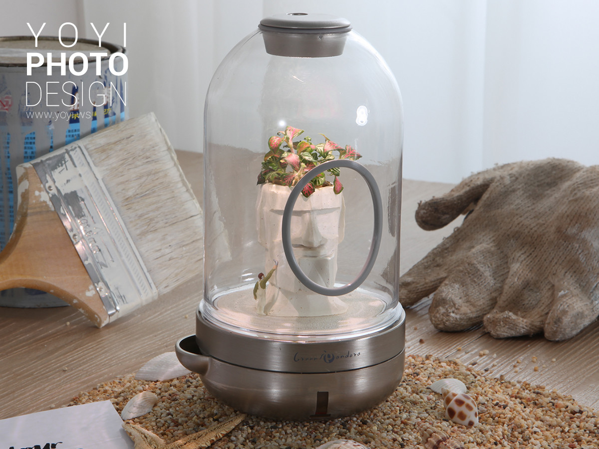 療癒盆栽攝影 39