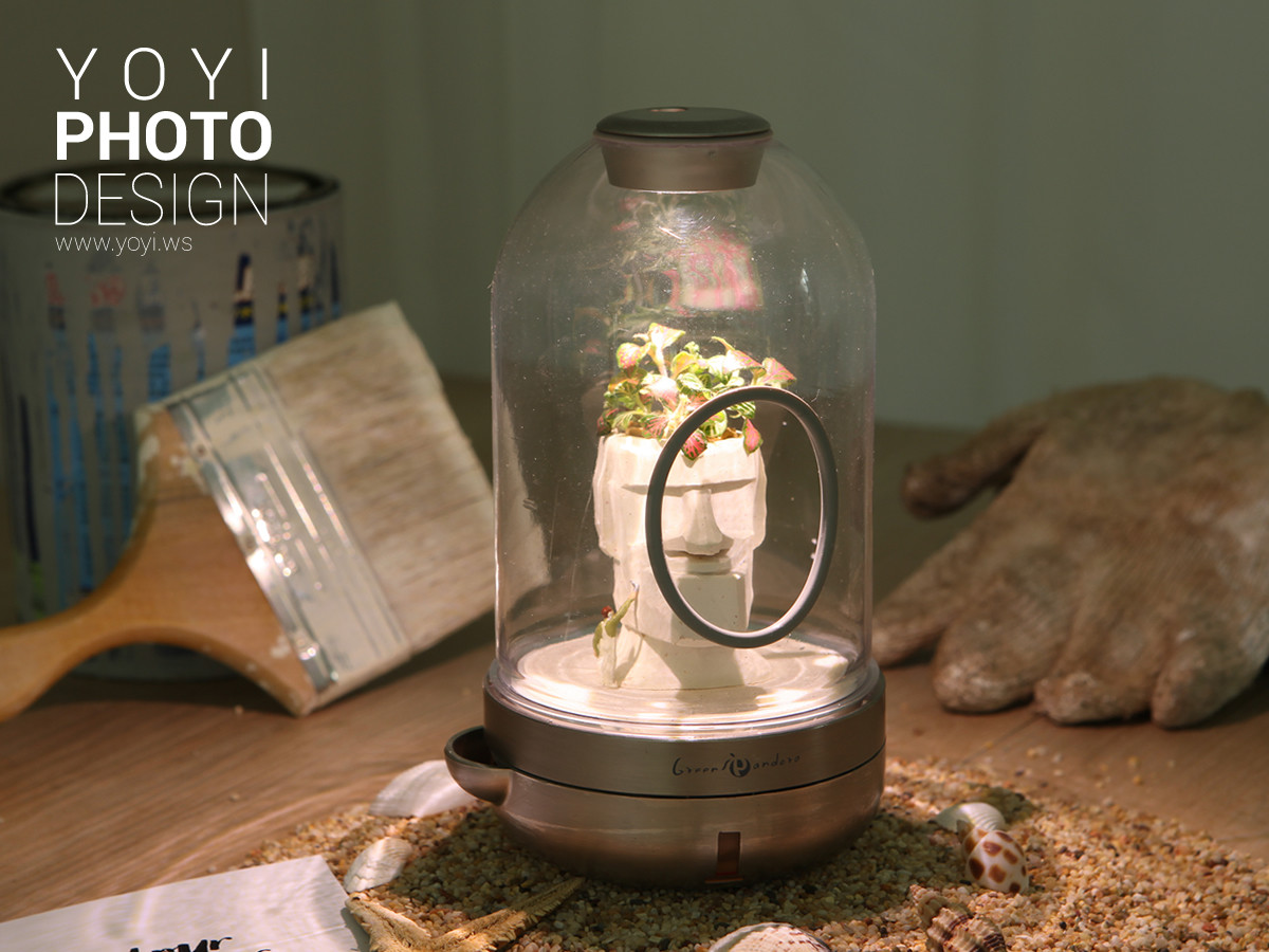 療癒盆栽攝影 41