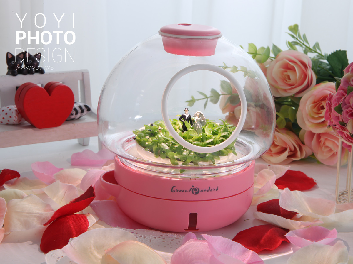 療癒盆栽攝影 43