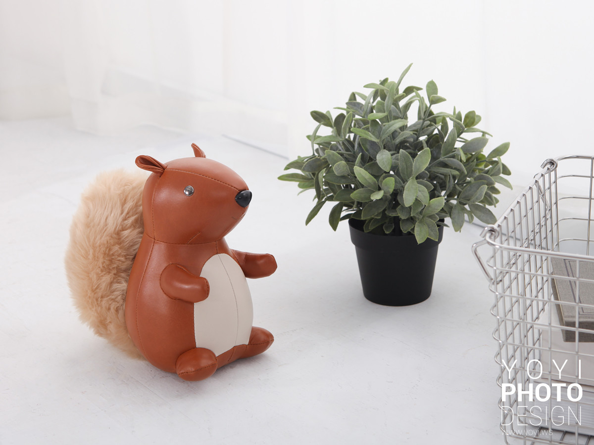 動物家飾情境攝影 | 營造溫馨生活感的商業形象拍攝