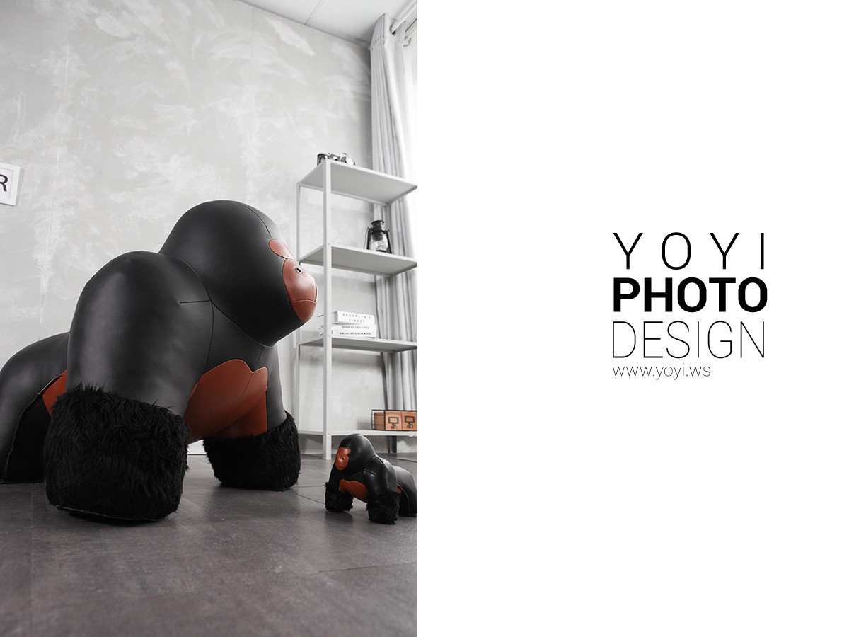 室內裝飾品攝影 | 現代風格動物造型擺件的專業擺拍