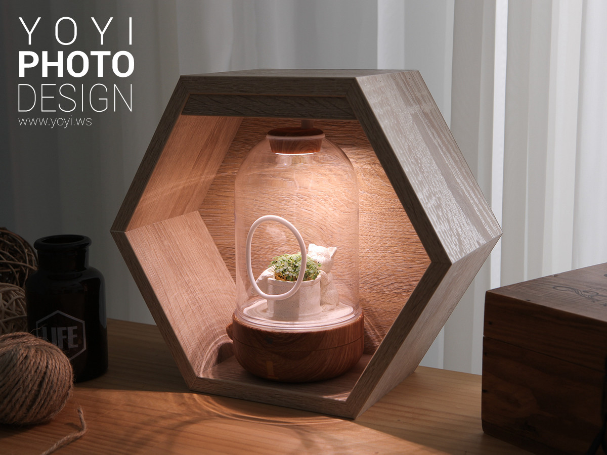 盆栽攝影生活居家攝影｜greenpandora 精品綠植盆栽與療癒系小品攝影｜greenpandora 1