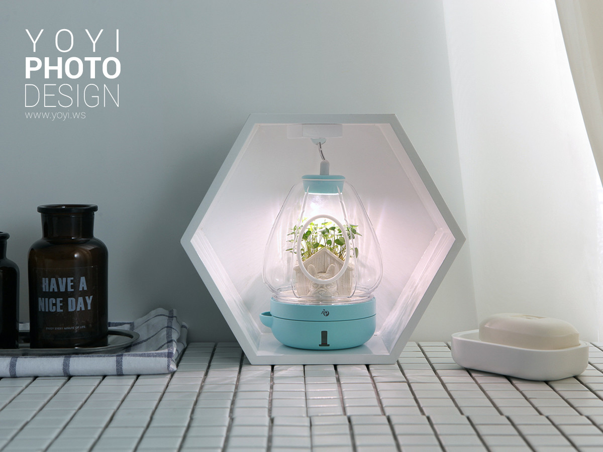 盆栽攝影生活居家攝影｜greenpandora 精品綠植盆栽與療癒系小品攝影｜greenpandora 3