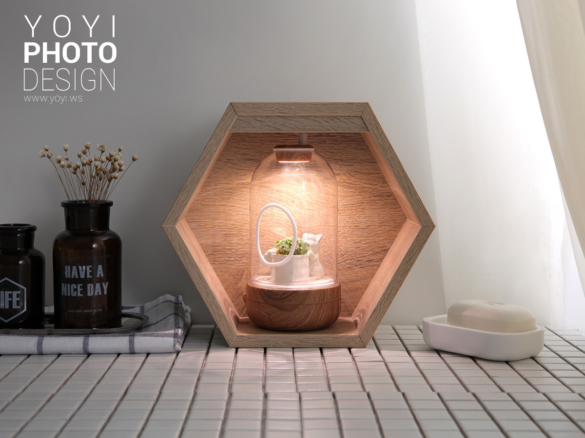 盆栽攝影生活居家攝影｜greenpandora 精品綠植盆栽與療癒系小品攝影｜greenpandora 5