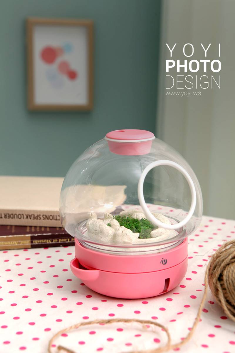 盆栽攝影生活居家攝影｜greenpandora 精品綠植盆栽與療癒系小品攝影｜greenpandora 9