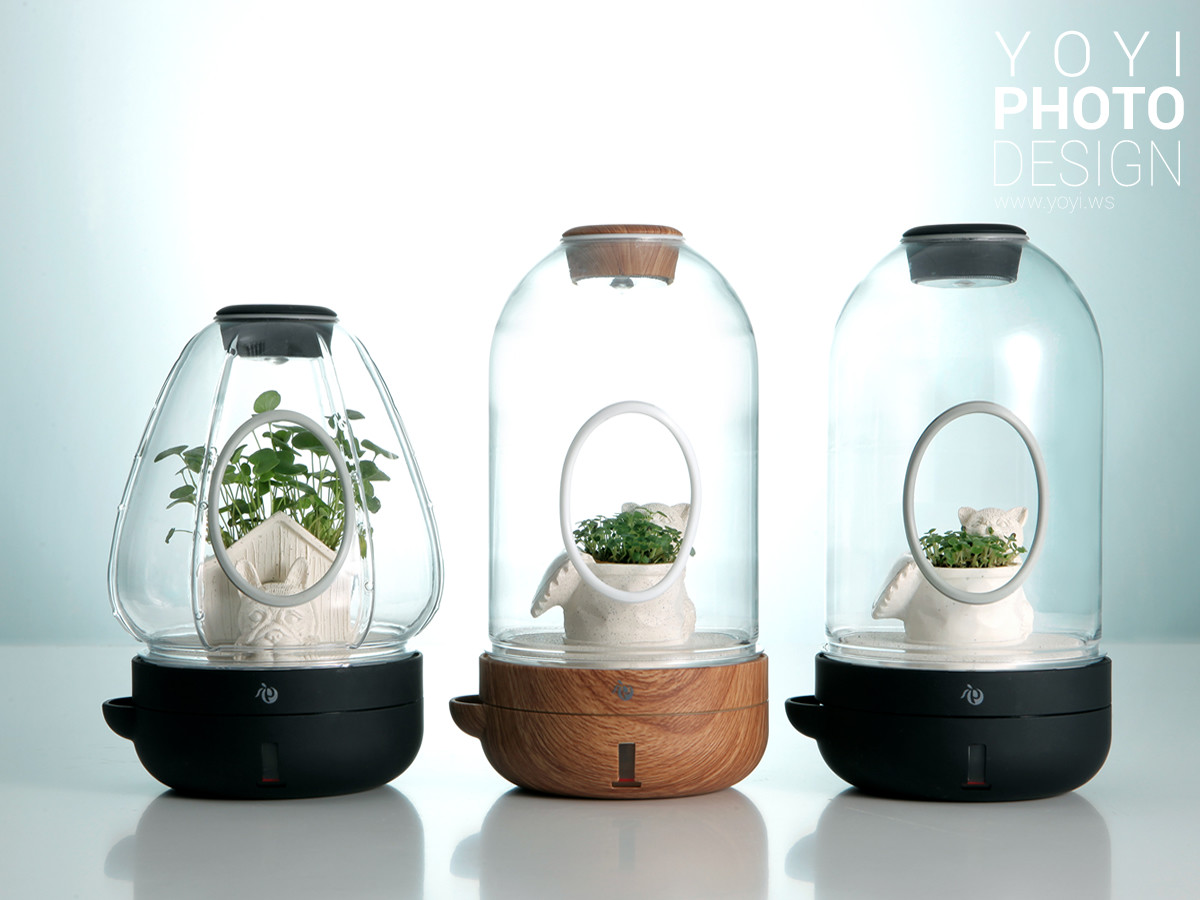 盆栽攝影生活居家攝影｜greenpandora 精品綠植盆栽與療癒系小品攝影｜greenpandora 11