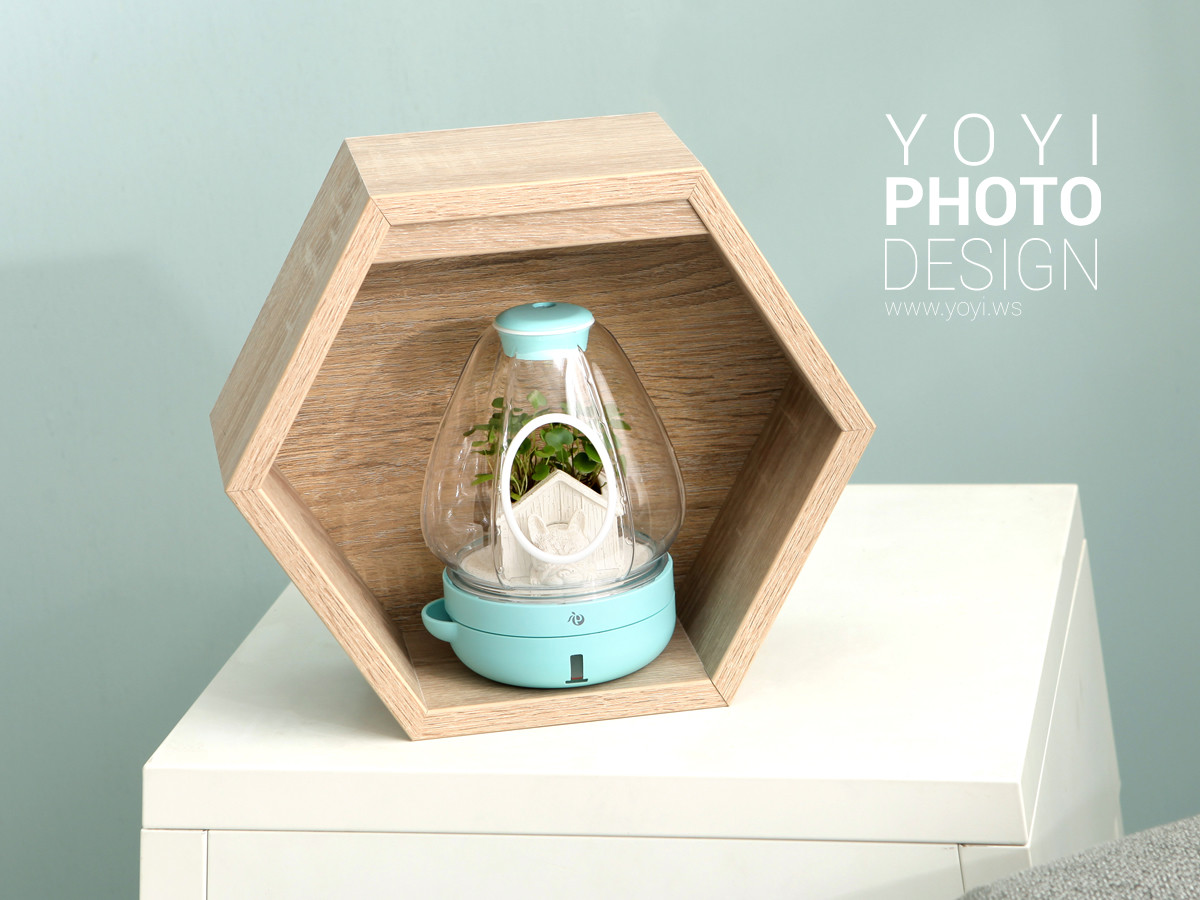 盆栽攝影生活居家攝影｜greenpandora 精品綠植盆栽與療癒系小品攝影｜greenpandora 13