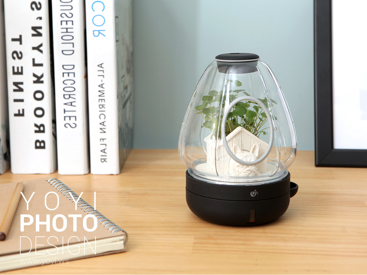 盆栽攝影生活居家攝影｜greenpandora 精品綠植盆栽與療癒系小品攝影｜greenpandora 19