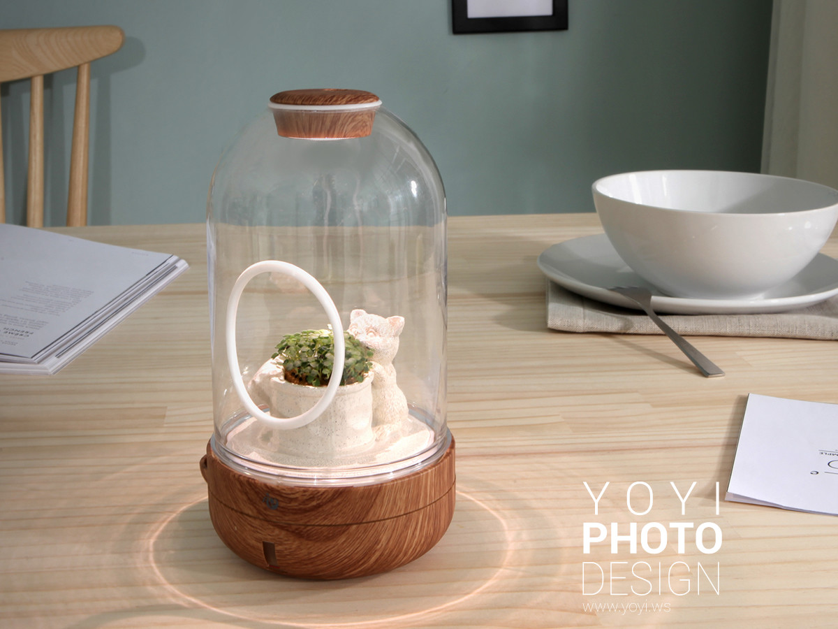 盆栽攝影生活居家攝影｜greenpandora 精品綠植盆栽與療癒系小品攝影｜greenpandora 23