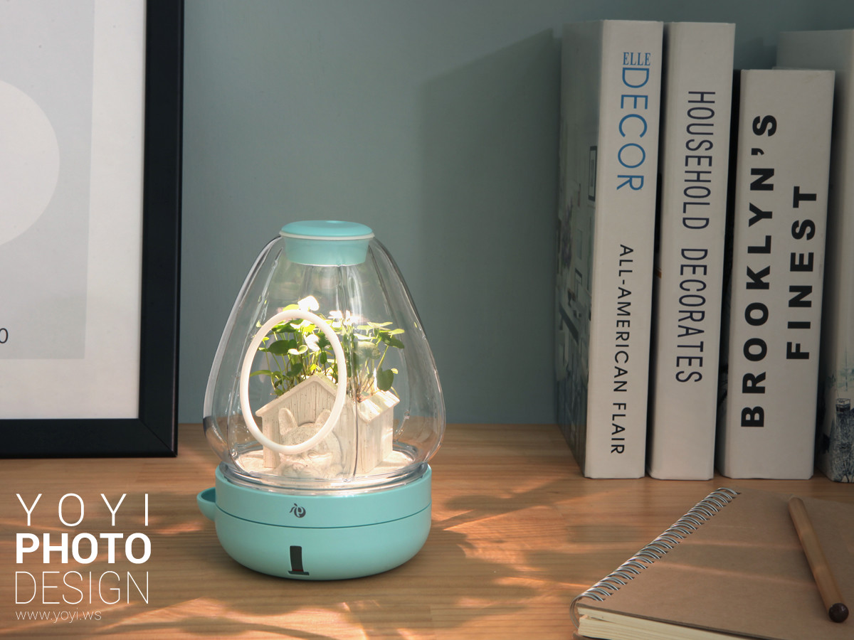 盆栽攝影生活居家攝影｜greenpandora 精品綠植盆栽與療癒系小品攝影｜greenpandora 25