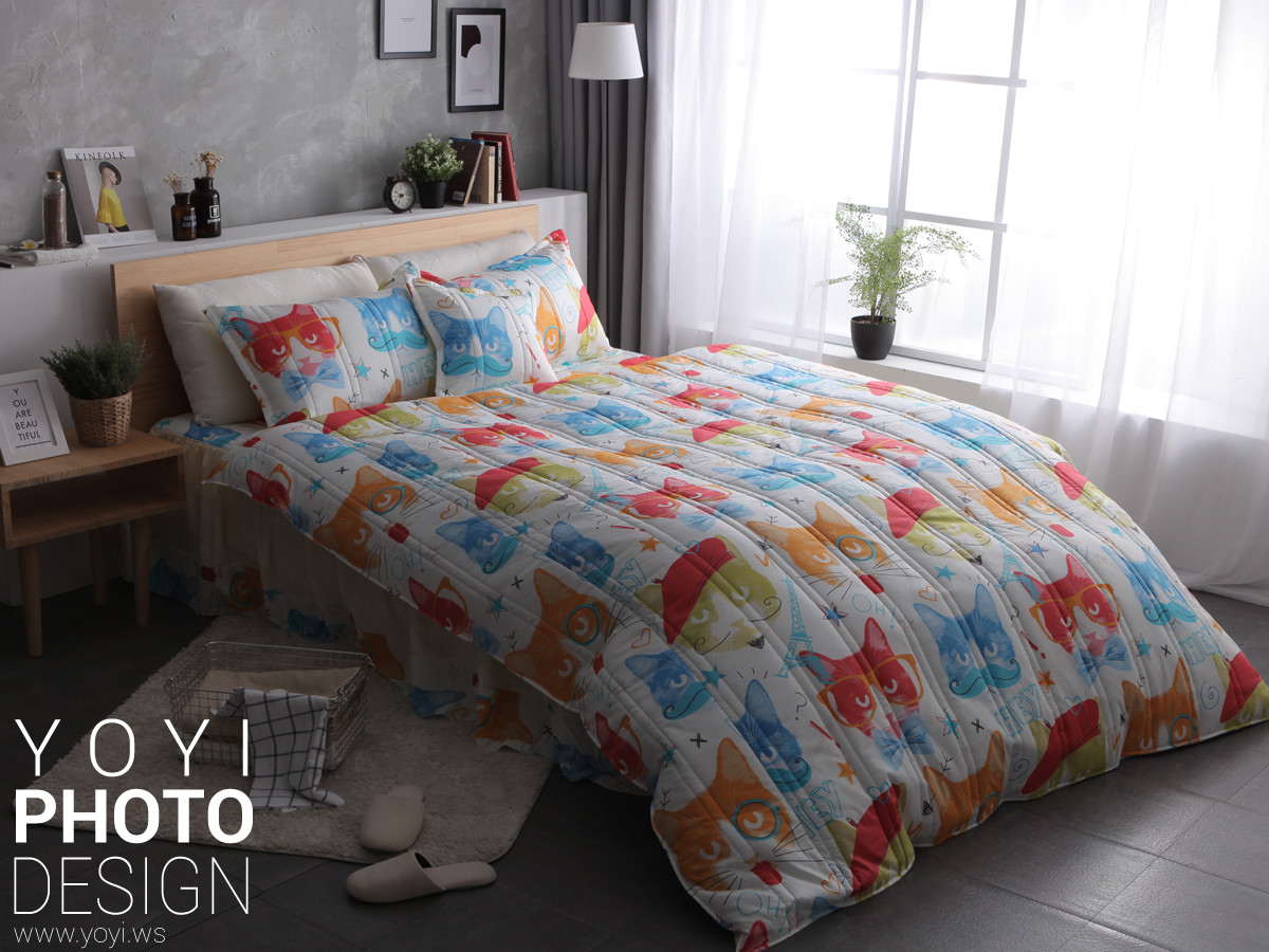 寢具攝影貓咪 3