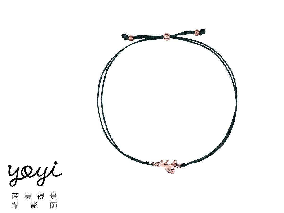 項鍊攝影 61