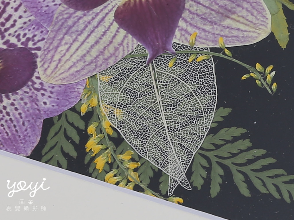 藝術品攝影｜精品押花畫、手工花藝藝術與框畫特寫攝影 25