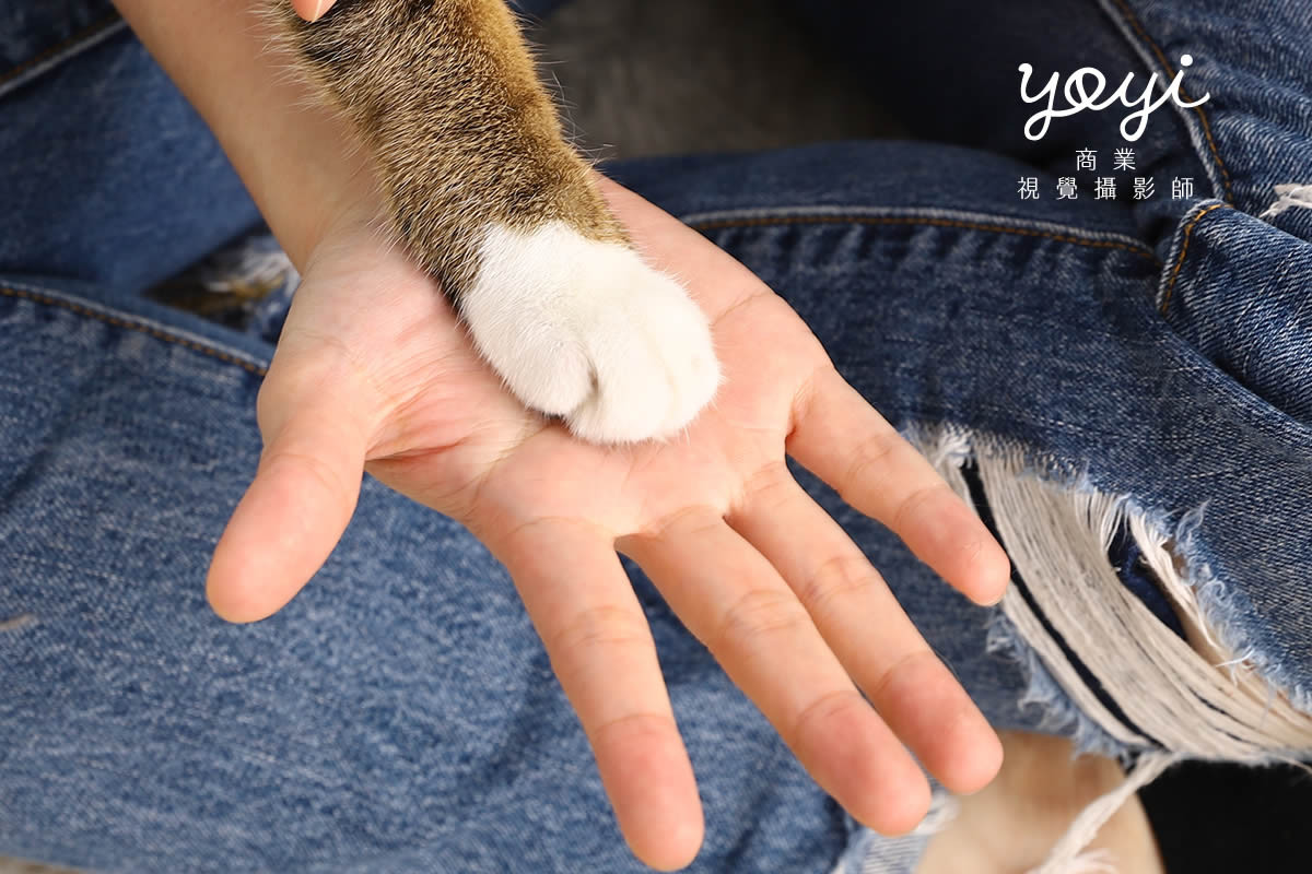 寵物用品攝影｜寵物乾洗噴霧與毛孩居家清潔情境攝影｜歐舒特 15