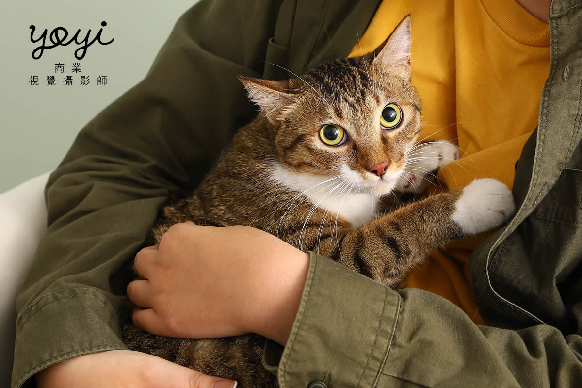 寵物用品攝影｜寵物乾洗噴霧與毛孩居家清潔情境攝影｜歐舒特 29