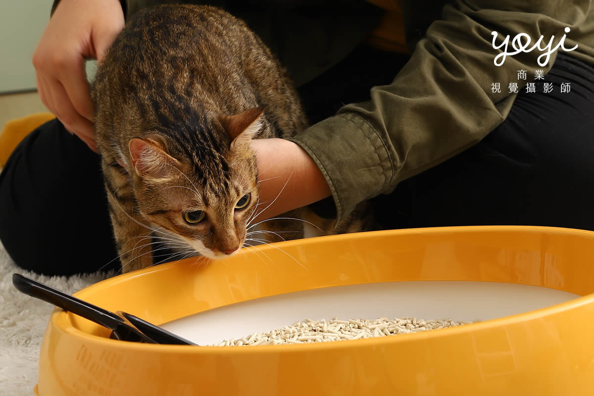 寵物用品攝影｜寵物乾洗噴霧與毛孩居家清潔情境攝影｜歐舒特 43