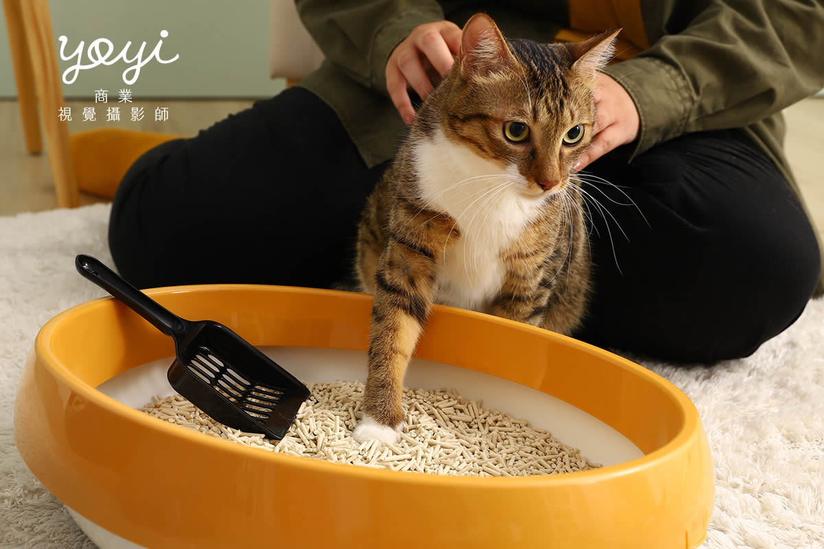 寵物用品攝影｜寵物乾洗噴霧與毛孩居家清潔情境攝影｜歐舒特 47