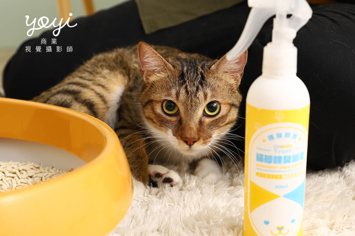 寵物用品攝影｜寵物乾洗噴霧與毛孩居家清潔情境攝影｜歐舒特 49