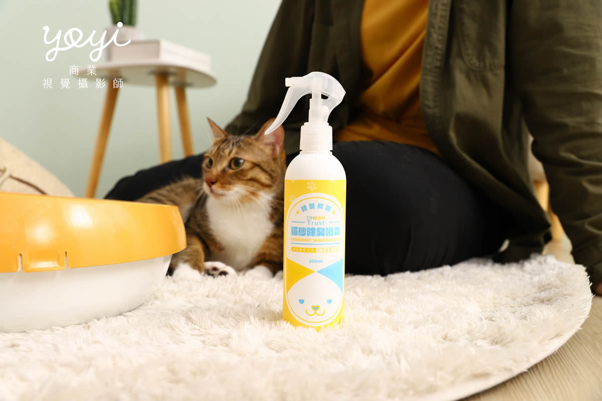 貓沙除臭噴霧情境攝影，貓咪居家互動與安全無毒展示