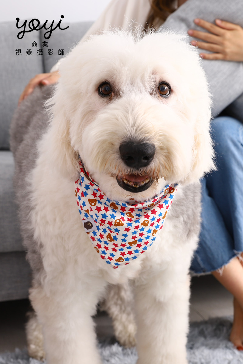 寵物用品攝影｜寵物乾洗噴霧與居家清潔護理情境攝影 7