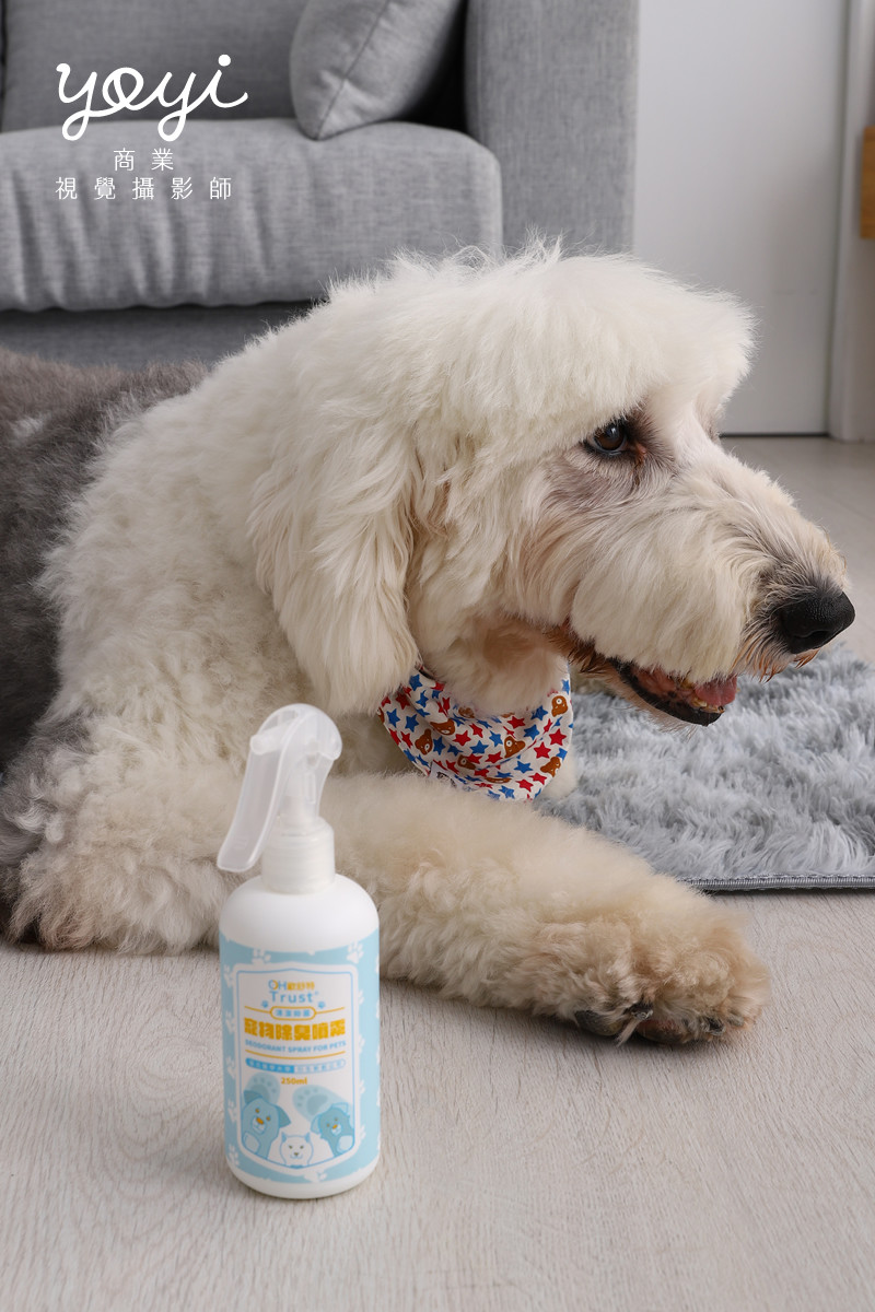 寵物用品攝影｜寵物乾洗噴霧與居家清潔護理情境攝影 15