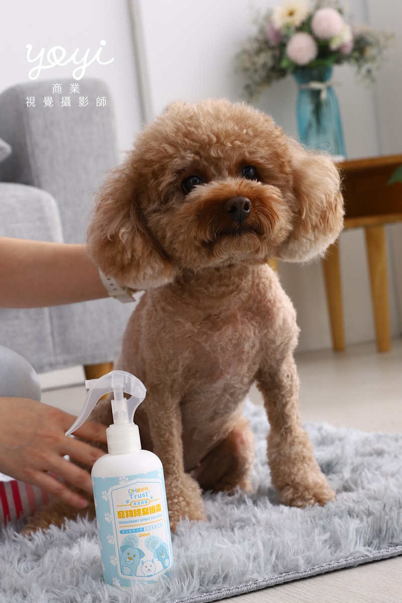 寵物用品攝影｜寵物乾洗噴霧與居家清潔護理情境攝影 31