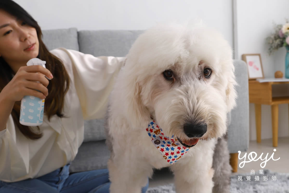寵物用品攝影｜寵物乾洗噴霧與居家清潔護理情境攝影 33