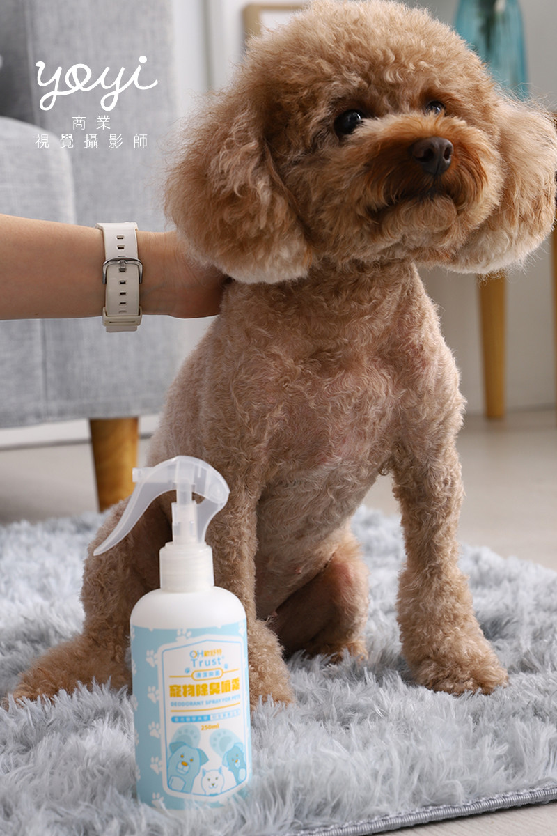 寵物用品攝影｜寵物乾洗噴霧與居家清潔護理情境攝影 35